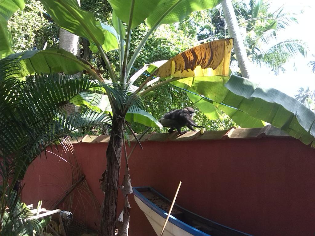 Bedspace Unawatuna Bilik gambar