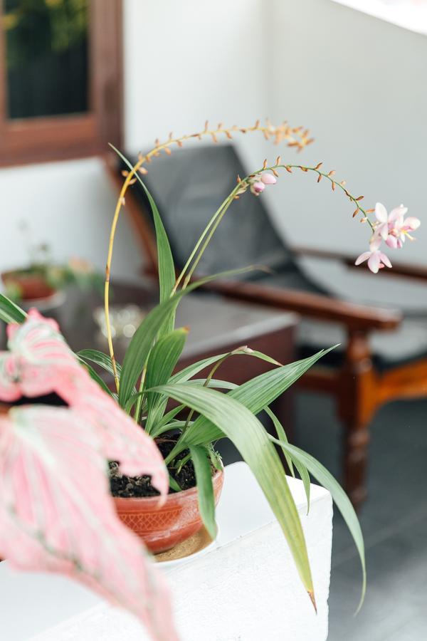 Bedspace Unawatuna Luaran gambar